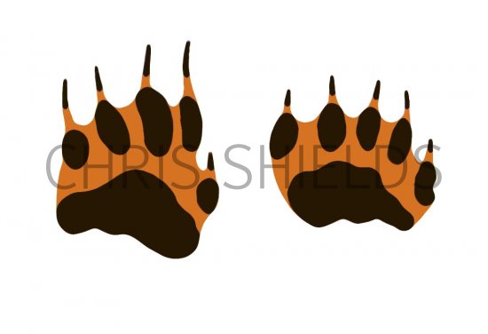 Illustration of Badger (Meles meles) Footprint (#1319)