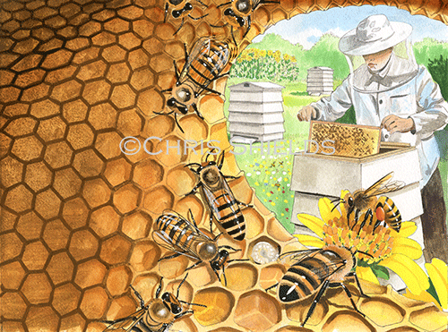 Illustration of Bee Hive and Bee Keeper (#2644)