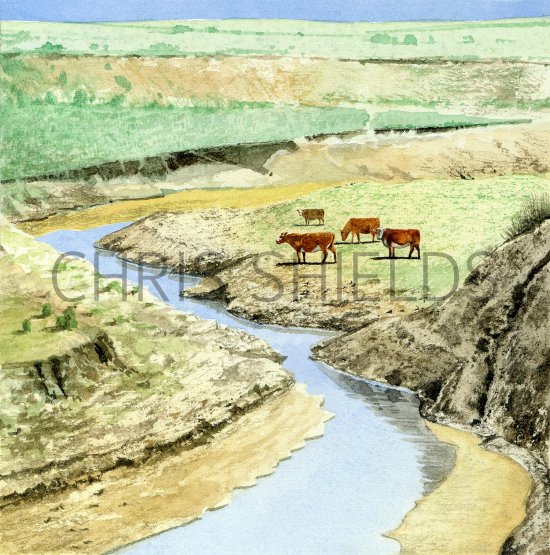 Illustration of Desert Landscape (USA) (#2311)