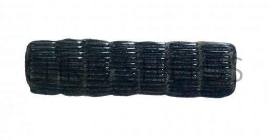 Illustration of Horsetail Calamites (#0093)