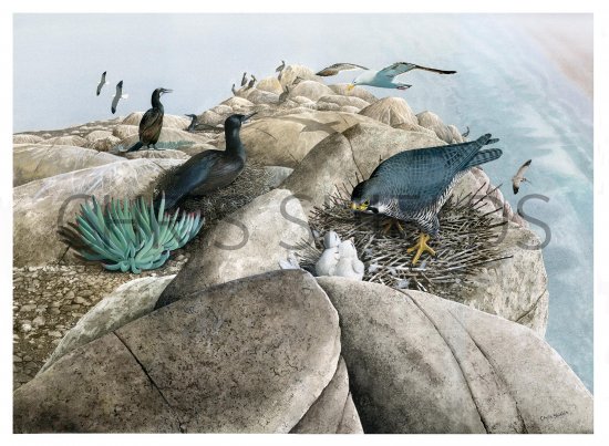 Illustration of Morro Rock California (#3788)