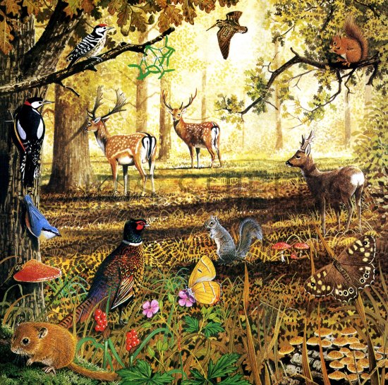 Illustration of Oak Wood (#1721)