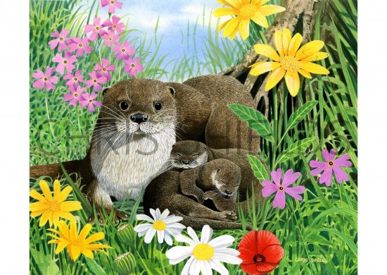 Illustration of Otter (Lutra lutra) (#0277)
