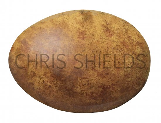 Illustration of Peregrine egg (Falco peregrinus) (#3698)