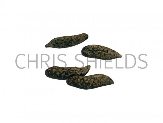 Illustration of Rat Droppings (#2796)