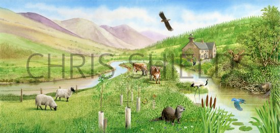 Illustration of Rewilding Scene (#4306)