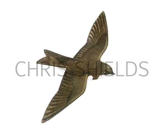 Illustration of Sand Martin (Riparia riparia) (#2501)