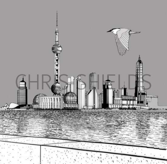 Illustration of Heron (Night) Nycticorax nycticorax (#0463)