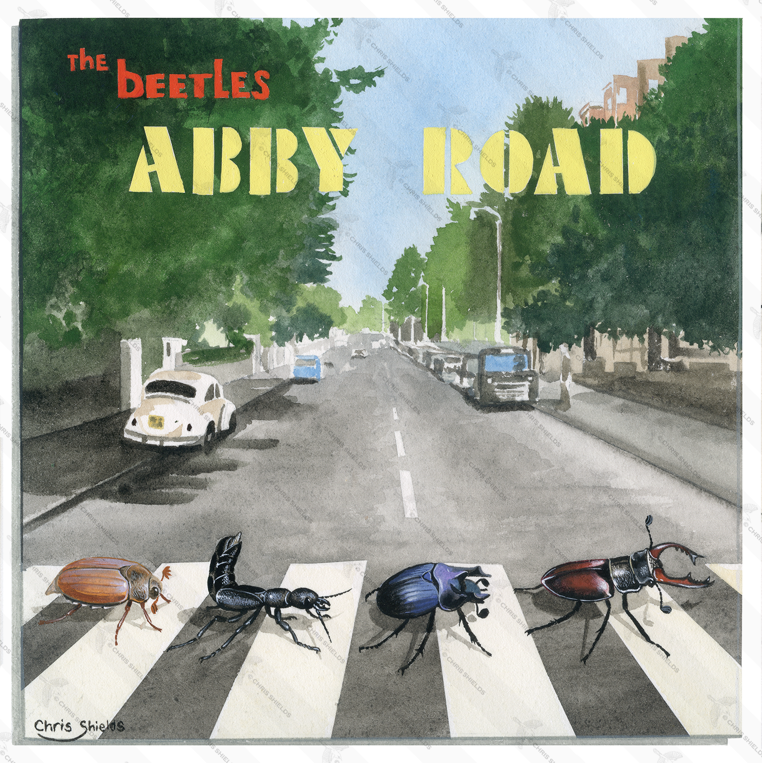 Illustration of Abby Road Album (#4766)