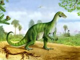 Illustration of Baryonyx walkeri (#1751)
