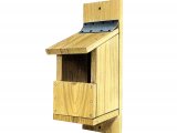 Illustration of Bird Nesting Box (#1241)