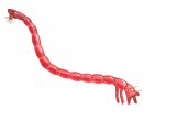 Illustration of Bloodworm larva of chironomid midge (#0734)