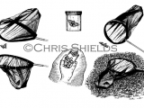 Illustration of Butterfly Nets (#4717)