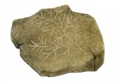 Illustration of Chondrites worm burrow fossil (#0116)