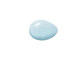 Illustration of Common Starling egg (Sturnus vulgaris) (#3300)