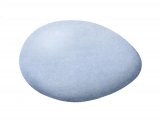 Illustration of Cormorant egg (Phalacrocorax carbo) (#2442)