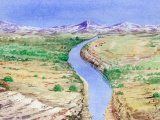 Illustration of Desert Landscape (USA) (#2310)
