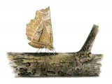 Illustration of Early Thorn (Selenia dentaria) (#3415)