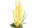 Illustration of Clavulinopsis fusiformis (Golden Spindles) (#3065)