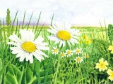 Illustration of Flower Meadow (#2173)