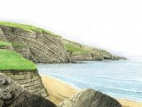 Illustration of Fossils & Seascape (#0092)