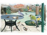 Illustration of Garden Birds in Winter (#3742)