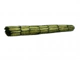 Illustration of Caddis Fly Larvae Case (Triaenodes bicolor), (#3119)