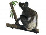 Illustration of Indris (Indri indri) (#0271)