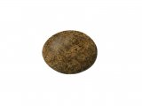 Illustration of Great Tit egg (Parus major) (#1729)