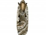 Illustration of Large Yellow Underwing (Noctua pronuba) (#2906)