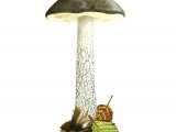 Illustration of Leccinum variicolor (Mottled Bolete) (#2659)