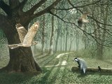 Illustration of Woodland at night (#2610)