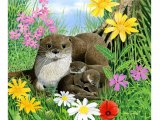 Illustration of Otter (Lutra lutra) (#0277)