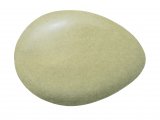 Illustration of Pheasant egg (Phasianus colchicus) (#4335)
