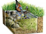 Illustration of Pond Dipping (#2802)