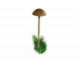 Illustration of Psilocybe montana (Mountain brownie) (#4257)