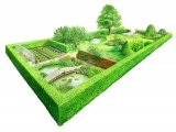 Illustration of RSPB Wildlife Garden (#2313)