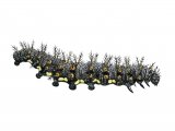 Illustration of Red Admiral Caterpillar (Vanessa atalanta) (#4164)