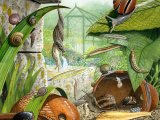 Illustration of Slugs & Snails (#1541)