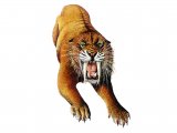 Illustration of Smilodon (#0689)