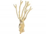 Illustration of Sponge (Halicona oculata) (#3419)