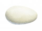 Illustration of Swift egg (Apus apus) (#2437)
