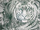 Illustration of Tiger sitting (Panthera tigris) (#1068)
