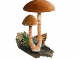 Illustration of Tubaria confragosa (#3635)