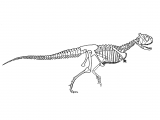 Illustration of Xenotarsosaurus (#0212)