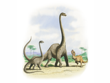 Illustration of Apatosaursus & Allosaurus (#0085)