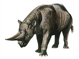 Illustration of Arsinoitherium (#0514)