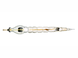 Illustration of Phantom Midge Larvae (#3107)