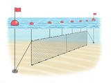 Illustration of Set Gillnet (#4757)