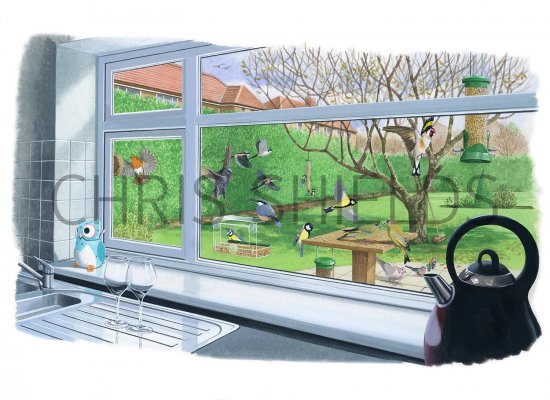 Illustration of View from a Kitchen Window (#2888)